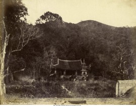 chuanamao.jpg