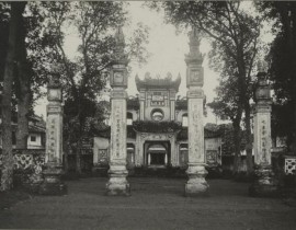 vanmieu1.jpg