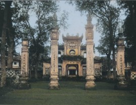 vanmieu2.jpg